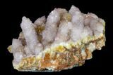 Cactus Quartz (Amethyst) Cluster - South Africa #113407-3